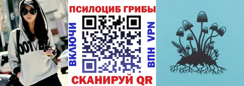 Купить где  Ардатов  Псилоцибиновые грибы ЛСД 